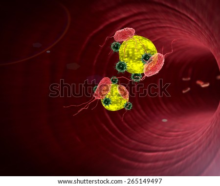Human Immune System attack the virus, viruses, macrophage and fat cells inside the blood vessel, white blood cells inside the blood vessel, High quality 3d render of blood cells