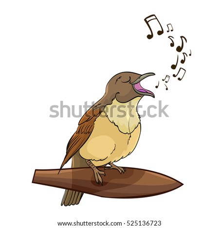 Vector singing nightingale bird cartoon character isolated on white background