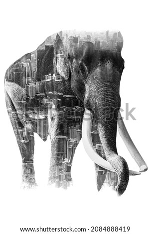 Double Exposure Effect Elephant with elephant and city to use for problems Nomadic elephants for food, elephants begging, elephants have no forest. elephant persecuto elephants without forests