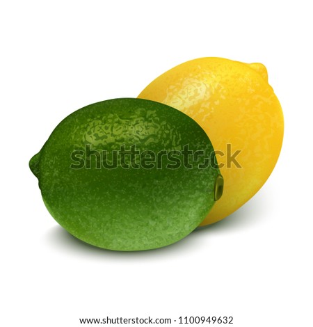 Realistic green yellow lime, lemon. 3d Vector illustration EPS 10. 