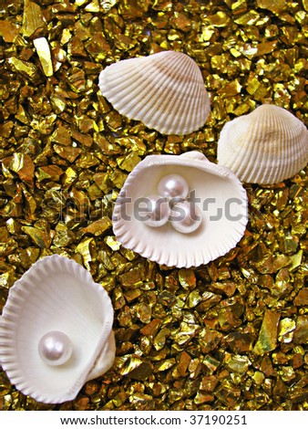Shells with pearls on interesting golden background made of golden little rocks