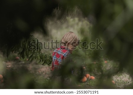 Similar – Foto Bild Junge pflückt frische bio Himbeeren