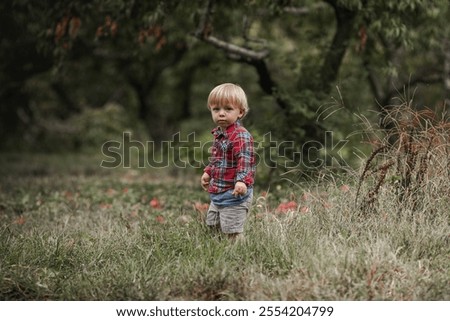 Similar – Foto Bild Junge pflückt frische bio Himbeeren