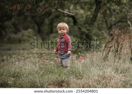 Similar – Foto Bild Junge pflückt frische bio Himbeeren