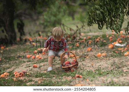 Similar – Foto Bild Junge pflückt frische bio Himbeeren