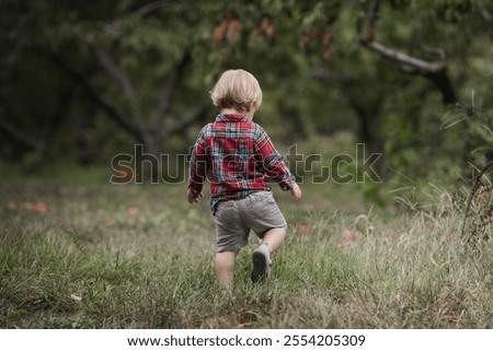 Similar – Foto Bild Junge pflückt frische bio Himbeeren