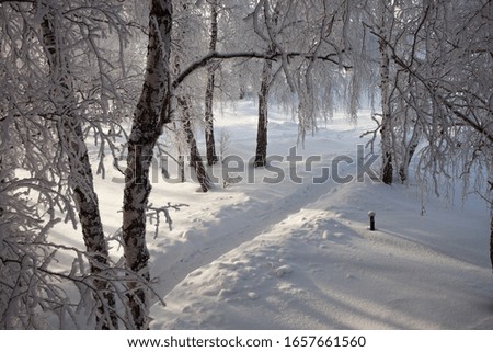 Similar – Image, Stock Photo Footpath in winter, always straight ahead, on the left of it a wooden fence, behind it bushes, on the right side of the path a brook bank. Falling snowflakes, in the distance trees can be seen in the mist.