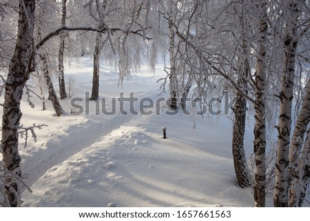 Similar – Image, Stock Photo Footpath in winter, always straight ahead, on the left of it a wooden fence, behind it bushes, on the right side of the path a brook bank. Falling snowflakes, in the distance trees can be seen in the mist.