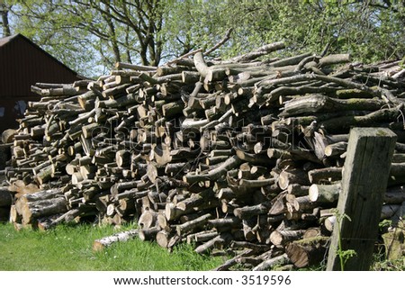 tree logs stacked in a large pile  drying out