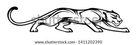 barracuda logo vector
