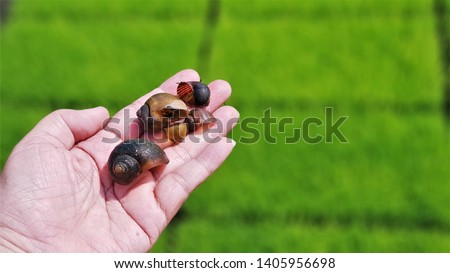 Shutterstock Puzzlepix