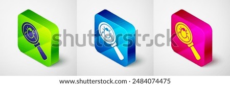 Isometric System bug concept icon isolated on grey background. Code bug concept. Bug in the system. Bug searching. Square button. Vector