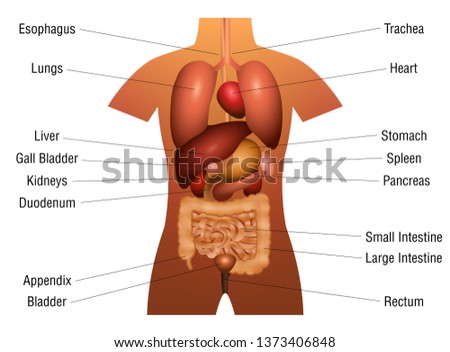 Shutterstock Puzzlepix