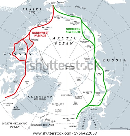 Arctic Ocean sea routes, gray political map. Arctic shipping routes. Northwest Passage and Northern Sea Route. Maritime paths, used by vessels to navigate through the Arctic. Illustration. Vector. Photo stock © 