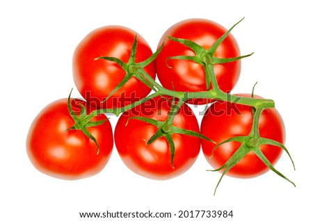 Similar – Image, Stock Photo Fresh panicles of tomatoes on a colourful plate