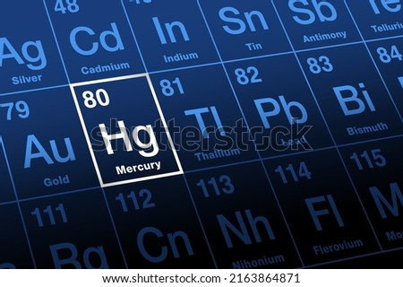 Mercury on periodic table of the elements. Known as quicksilver, a toxic heavy metal and chemical element, with symbol Hg for hydrargyrum and atomic number 80. Used in thermometers and dental amalgam.