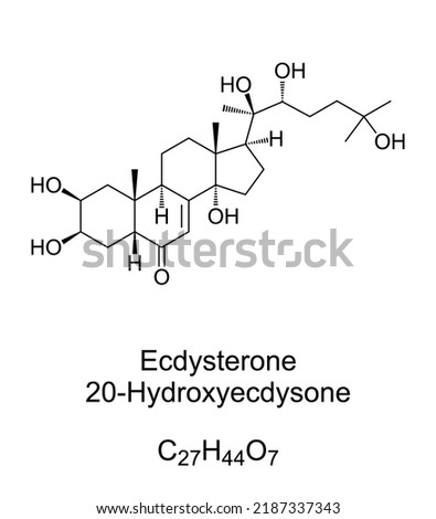 Ecdysterone, chemical formula and structure. Hydroxyecdysone, 20E, one of the most common molting hormones in insects. Used in bodybuilding as steroid hormone to enhance the physical performance.