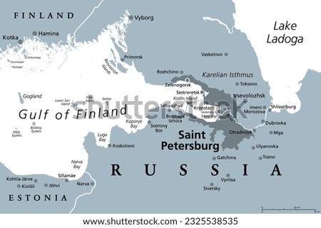 Saint Petersburg area, gray political map. Second-largest city in Russia, formerly known as Petrograd and later Leningrad. Situated on the Neva River, at the head of Gulf of Finland in the Baltic Sea.