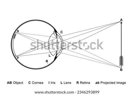 Similar – Image, Stock Photo upside down perception