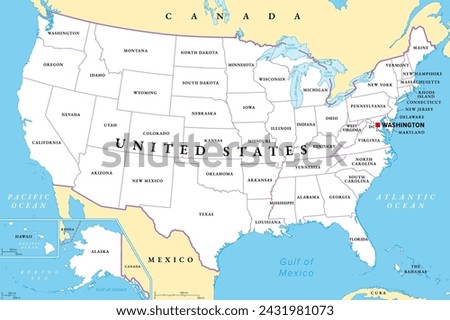 United States of America, political map. Fifty single states with their own geographic territories and borders, bound together in a union and federal government, and with capital Washington. Vector.