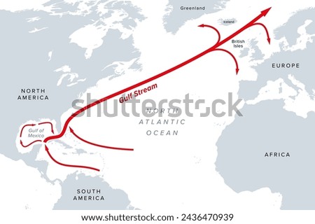 Gulf Stream, gray political map. A warm and swift Atlantic Ocean current, originating in the Gulf of Mexico, flowing  through the Straits of Florida up the coastlines of the United States and Canada.