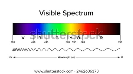 Diagram of the visible spectrum, band of electromagnetic spectrum, visible to the human eye. Light can produce spectral colors, a narrow band of wavelengths. Approximate and schematic illustration.