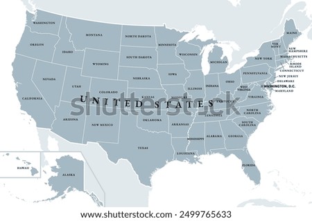 United States of America, gray political map. Fifty single states with their own geographic territories and borders, bound together in a union and federal government, with the capital Washington, D.C.