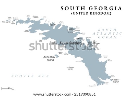 South Georgia, gray political map. Part of the British Overseas Territory of South Georgia and the South Sandwich Islands. Group of islands in the South Atlantic Ocean and Scotia Sea. Illustration