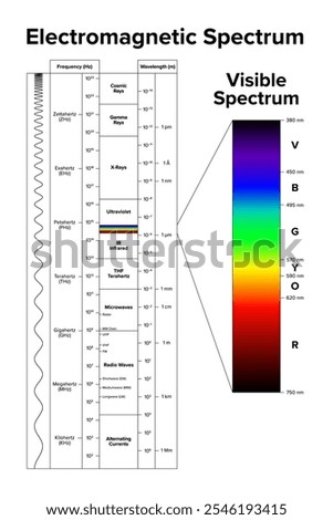 Electromagnetic spectrum and its visible spectrum highlighted separately. Diagram of the full range of electromagnetic radiation, organized by frequency in Hertz and wavelength in meters. Vector.