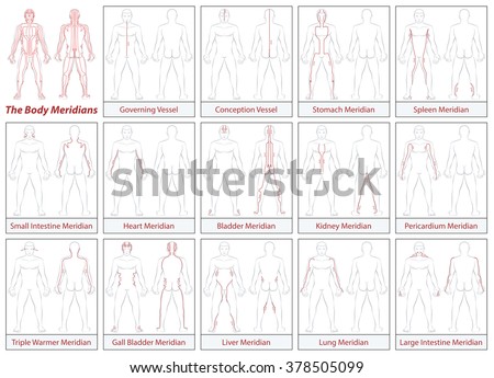 Body meridians - Schematic diagram with main acupuncture meridians and their directions of flow. Isolated vector illustration on white background.