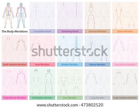 Body meridian chart with names and different colors - Traditional Chinese Medicine.