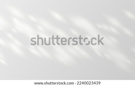 Sunlight on a gray wall, sunbeams in a room, sunny day background for product presentation. Vector illustration.