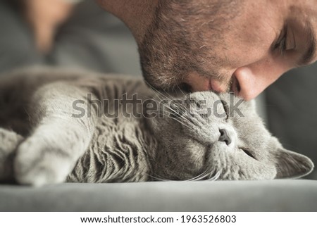 Similar – Image, Stock Photo House cat in his basket