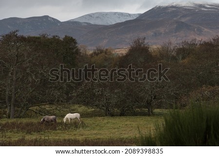 Similar – Image, Stock Photo GLENCOE 2 Nature Landscape