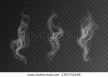 fanextra smoke brush set