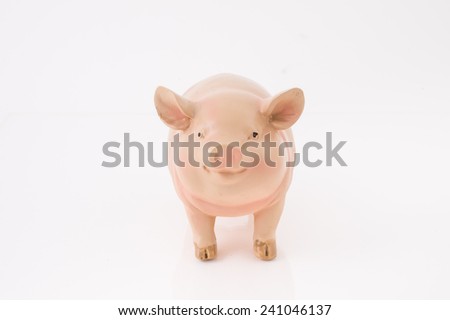 pig on White Background