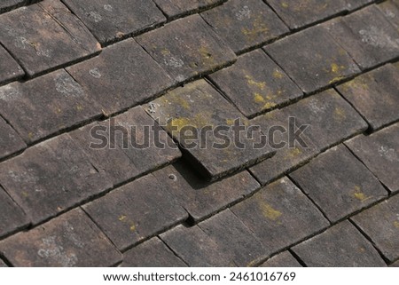 Similar – Image, Stock Photo Building with roof made of solar panels