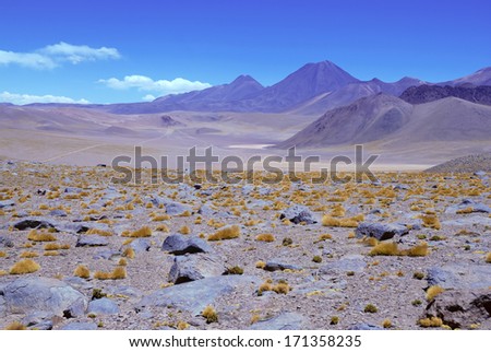 The Barren and Stark Beauty of the Atacama Desert, Chile