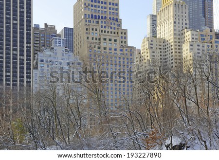 Urban Scene - Central park with Manhattan Skyline, New York City