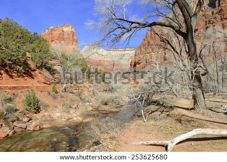 Red rock landscape in Zion National Park, southern Utah