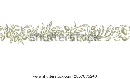 Olive border, rustic seamless pattern. Vector vintage band. Hand drawn texture branch, green fruit, graphic leaves on white background. Organic farm oil