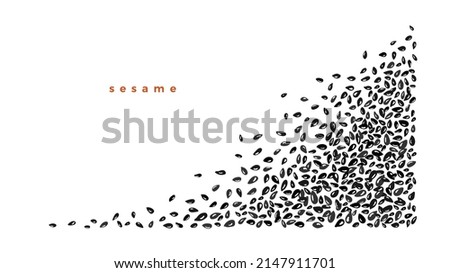 Pile of black sesame, cumin seed. Vector graphic border on white background. Vegan spice with calcium