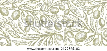 Oliva, green fruit, vintage macro pattern. Vector hand drawn branch, texture leaves on white background. Organic oil