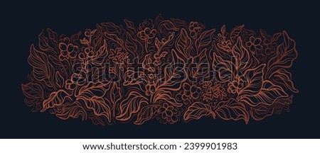 Coffee farm plantation. Vector sketch branch, berry, raw grain. Graphic illustration