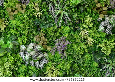 Similar – Image, Stock Photo green landscape with many trees in catalonia, spain