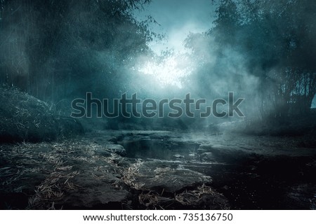 Similar – Foto Bild Baumgeist Wald Augen