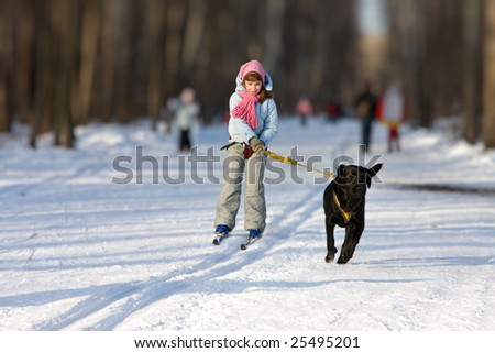 Girl on ski is going for a running dog.