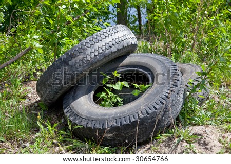Three old automobile wheels on a green grass