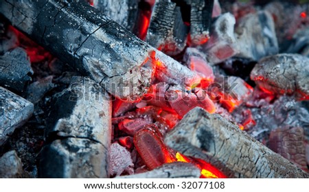 the heated coals