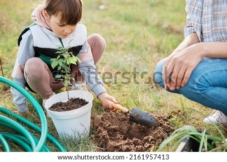 Similar – Foto Bild Anonymer Gärtner, der im Garten mit einer Kelle Erde umgräbt